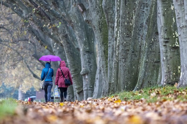 Autumn walk with umbrella in rainy weather