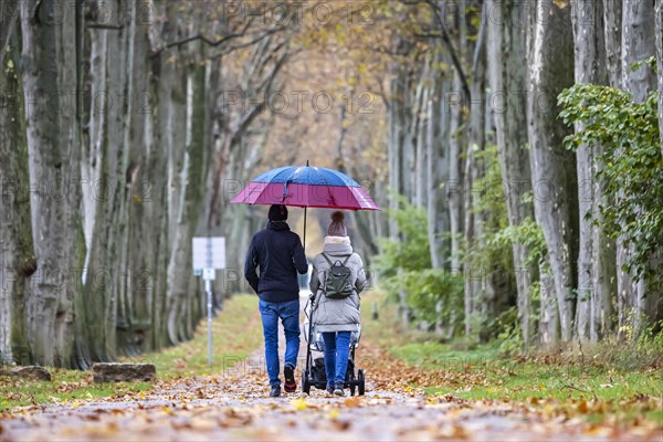 Autumn walk with umbrella in rainy weather