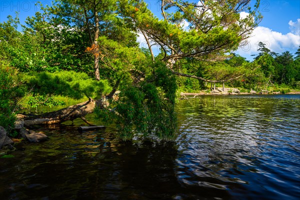 South Lake in Catskills Mountains