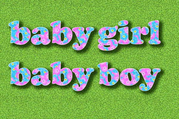The word Baby Girl and Baby Boy written with flowers in baby colours pink and light blue on a green background
