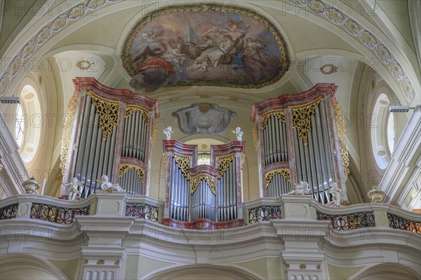 Organ and gallery