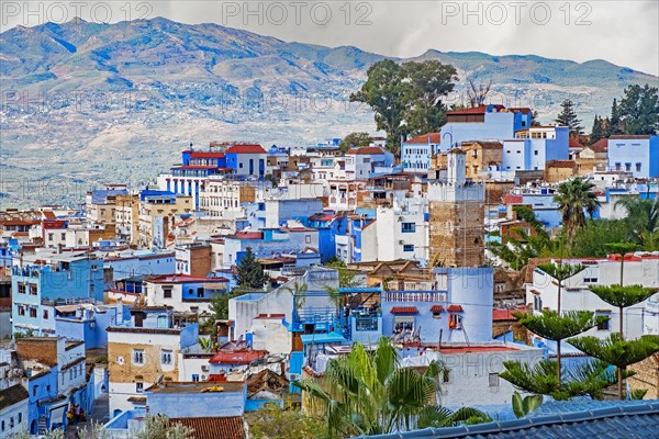 Aerial view over houses of the medina