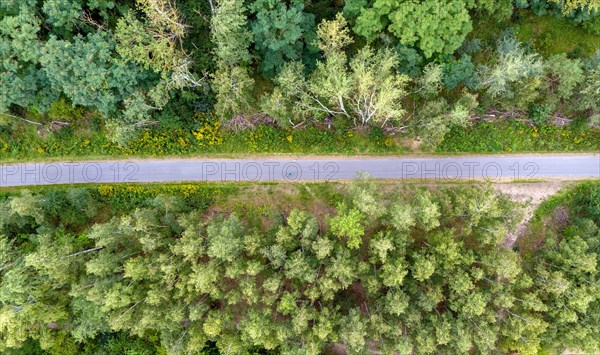 Aerial view of cyclists on the Wall Trail in Berlin Marienfelde. The Wall Trail marks the course of the former GDR border fortifications to West Berlin