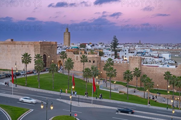 City walls of the Kasbah of the Udayas