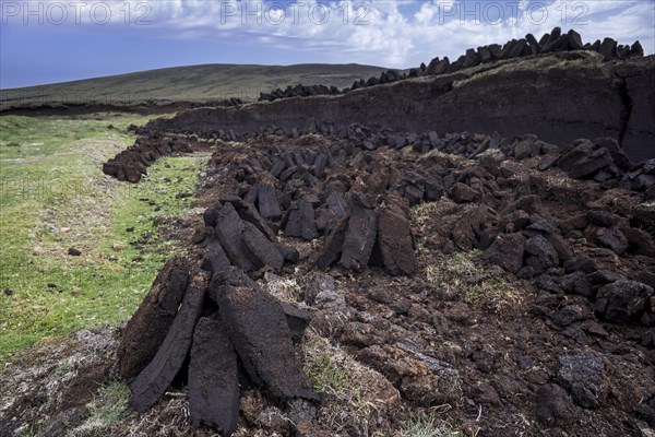 Peat extraction in bog