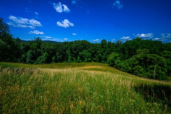 Vanderbilt Mansion National Historic Site