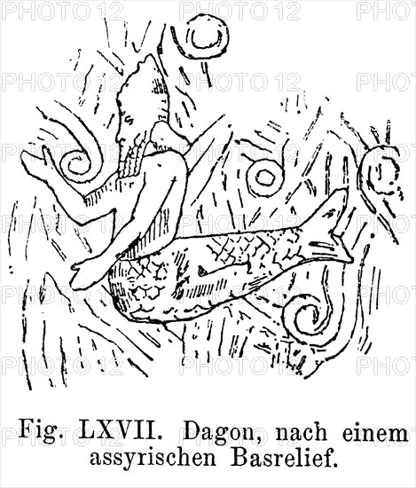 Dagon