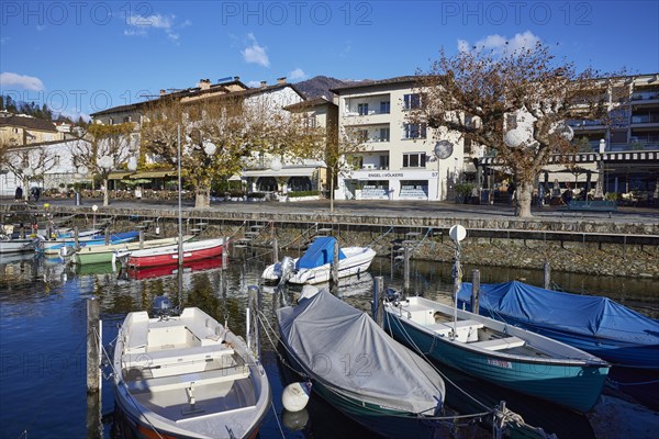 Motorboats in the harbour and view of the promenade Piazza Giuseppe Motta of Lake Maggiore in Ascona