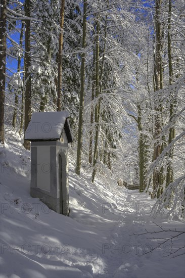 Winter Way of the Cross