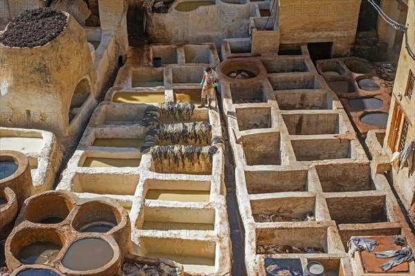 Sidi Moussa Tannery with round stone vessels filled with dye and softening liquids in medina Fes el-Bali of the city Fes