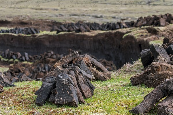 Peat extraction in bog