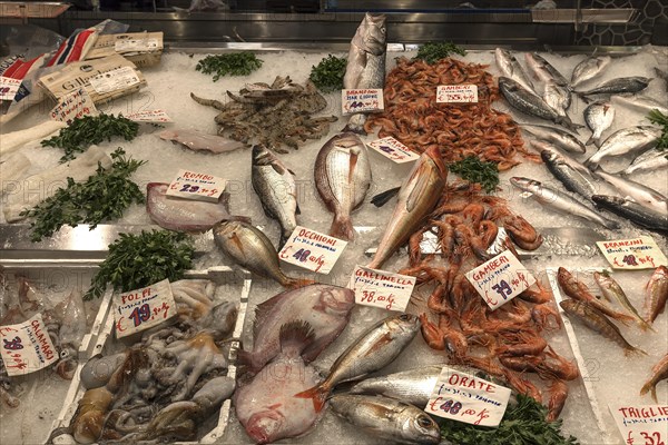 Fresh fish on ice at a fish stall in the large market hall