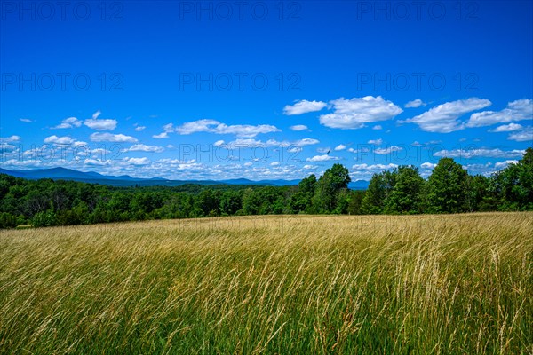 Grass fields in Shavangunk Ridge region