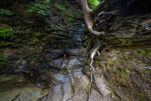 Chestnut Ridge Park Eternal Flame Falls Trail