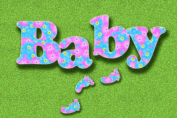 The word baby written with flowers in baby colours pink and light blue on a green background