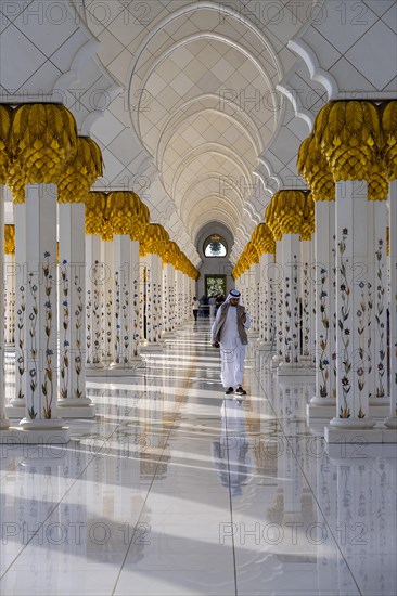 Sheik Zayed Mosque