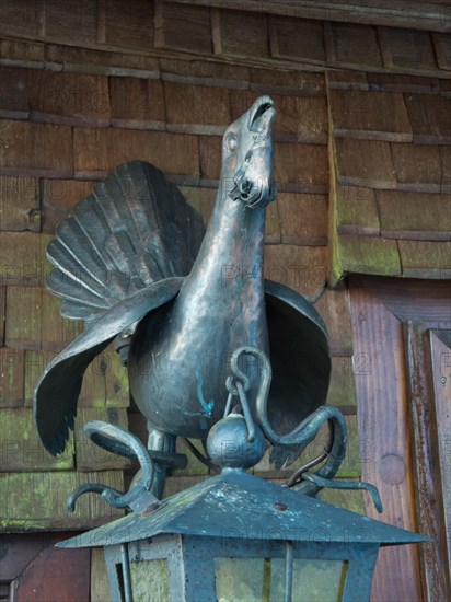 Capercaillie at the Gasthaus zur Schwedenschanze