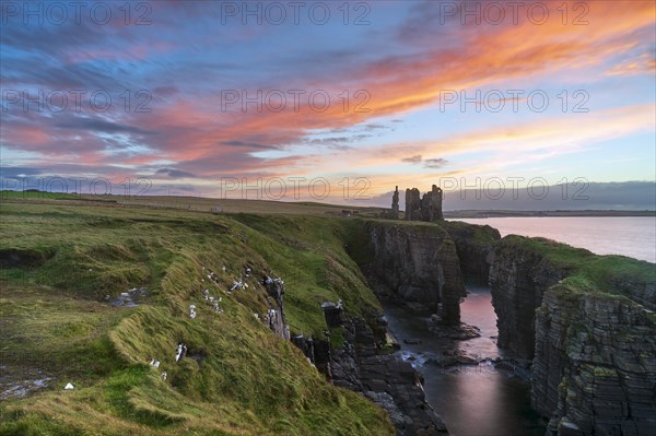 Girnigoe and Sinclair Castle