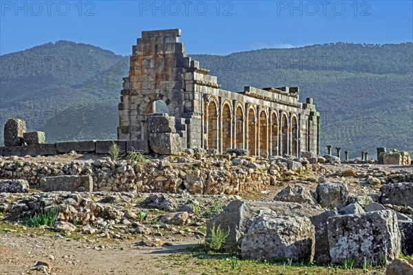 Arched outer wall of basilica faced with columns at Volubilis