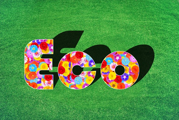 The English word Eco