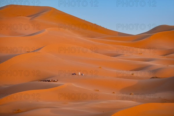 Western tourists and dromedary camels in sand dunes of Erg Chebbi