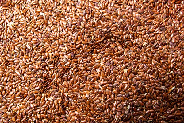 A huge amount of flax seeds