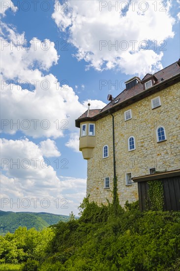 Detail of Teck Castle