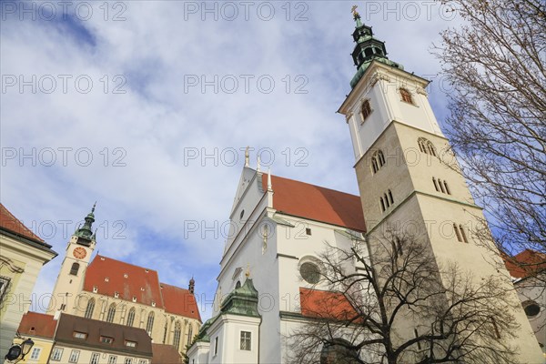 Piarist Church or Krems Frauenberg Church and St. Vitus Parish Church or Wachau Cathedral