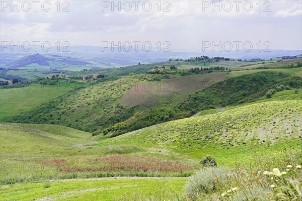 Landscape near Volterra