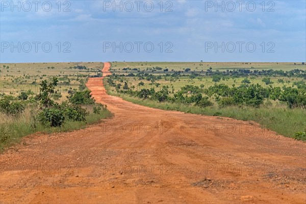 Linden-Lethem track