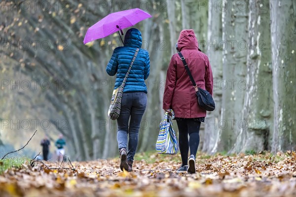 Autumn walk with umbrella in rainy weather