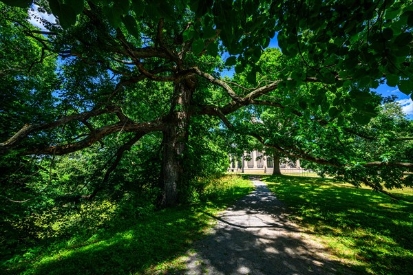 Vanderbilt Mansion National Historic Site