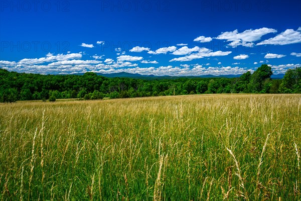 Grass fields in Shavangunk Ridge region