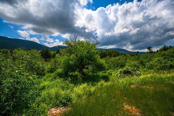 Catskills Mountains