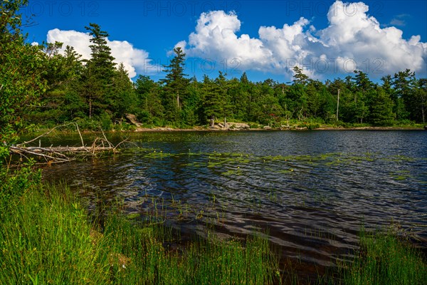 South Lake in Catskills Mountains