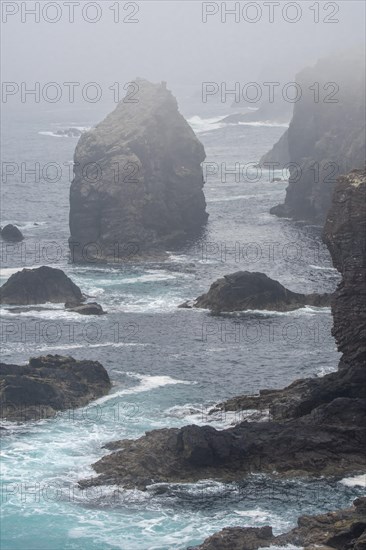 Sea stacks and cliffs in the mist at Eshaness