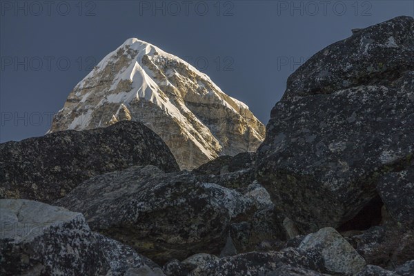 Pumori