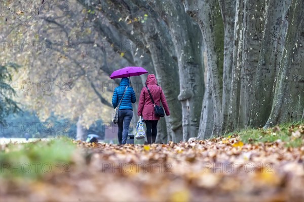 Autumn walk with umbrella in rainy weather