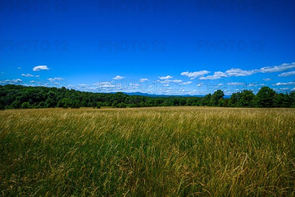 Grass fields in Shavangunk Ridge region
