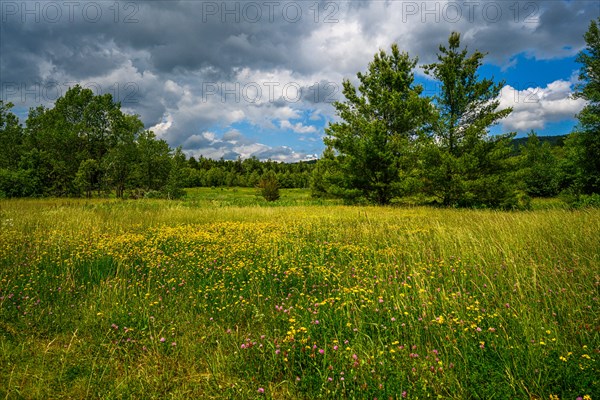 Catskills Mountains