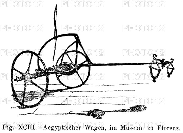 Egyptian war chariot