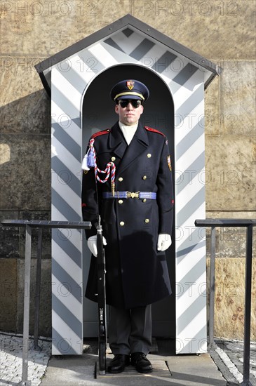 Guards at the Court of Honour