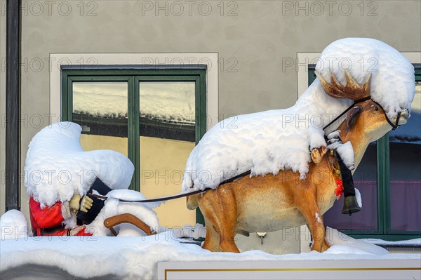 Fresh snow on Father Christmas in a sleigh with elk