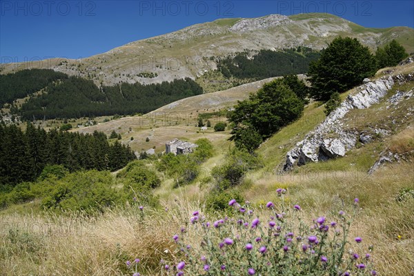 Gran Sasso and Monti della Laga National Park