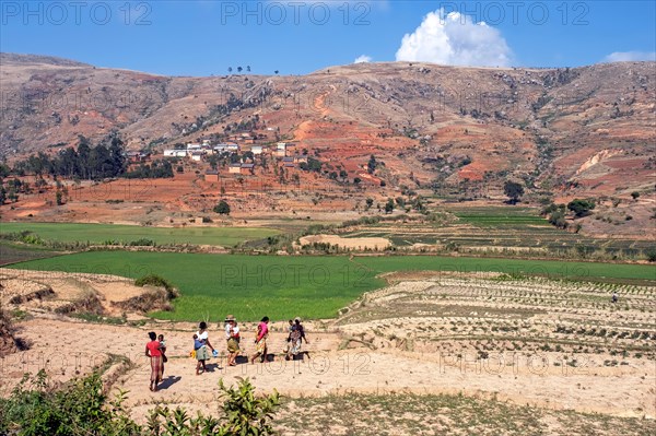 Betsileo women with children walking through field to their village in the Haute Matsiatra Region