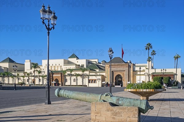 Old cannon and Gate of the Dar al-Makhzen