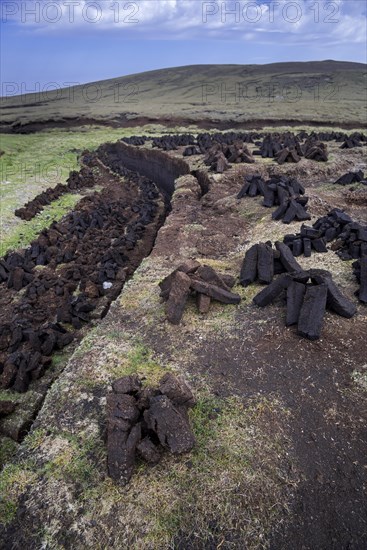 Peat extraction in bog