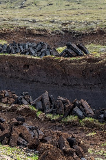 Peat extraction in bog