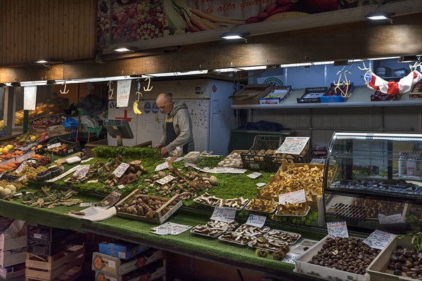 Stall with mushrooms from the region