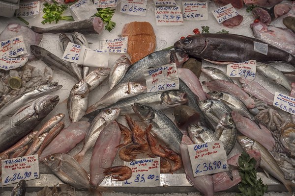 Fresh fish on ice at a fish stall in the large market hall